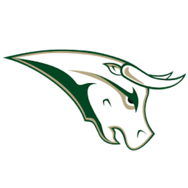 STU Northside Bulls logo